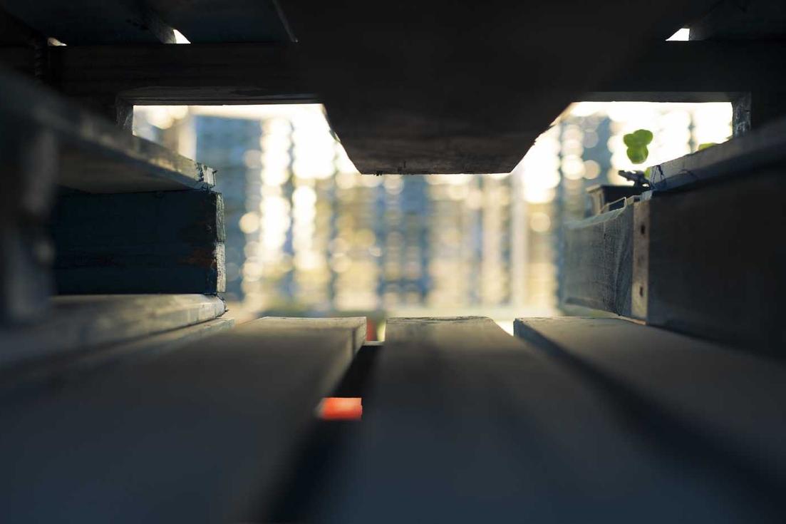 Nemo omnis soluta sint rerum unde